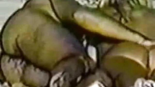 Busty Schlampe reife nackte geile frauen wird bedeckt in cum nach blowbang